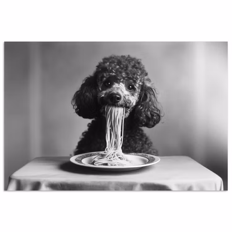 Poster - Poedel - Hond - Zwart - Wit - Schattig - Pasta — 1