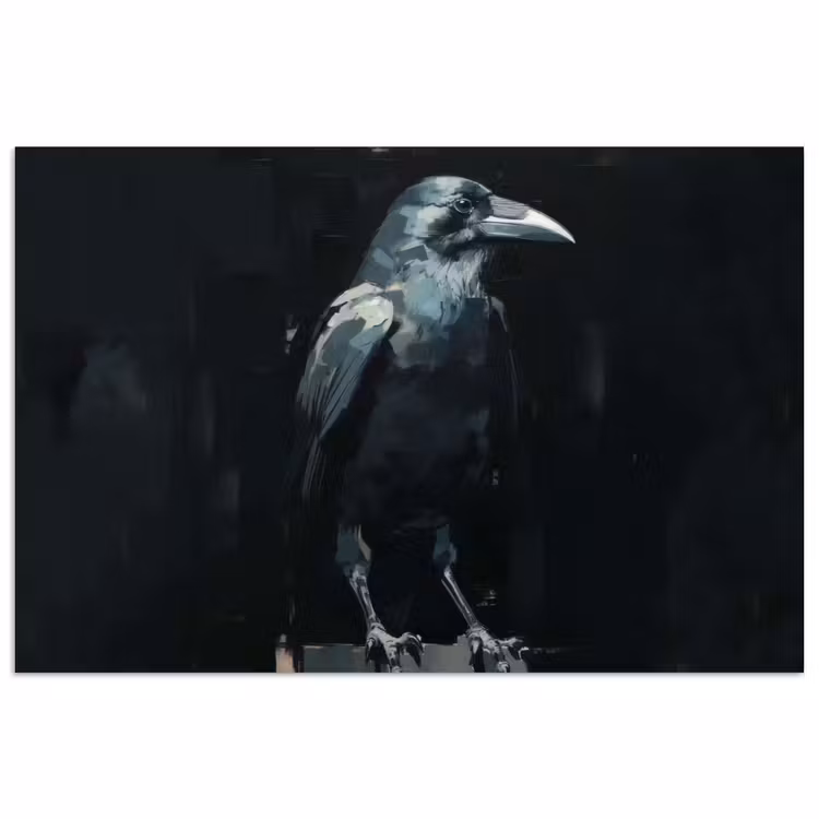 Poster - Raaf - Vogels - Zwart — 1