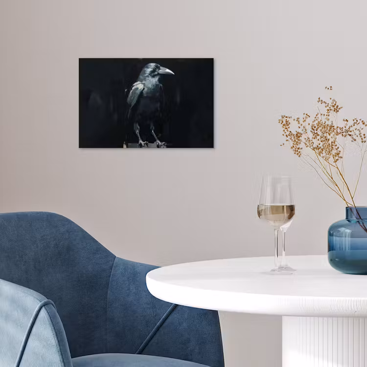 Poster - Raaf - Vogels - Zwart — 4