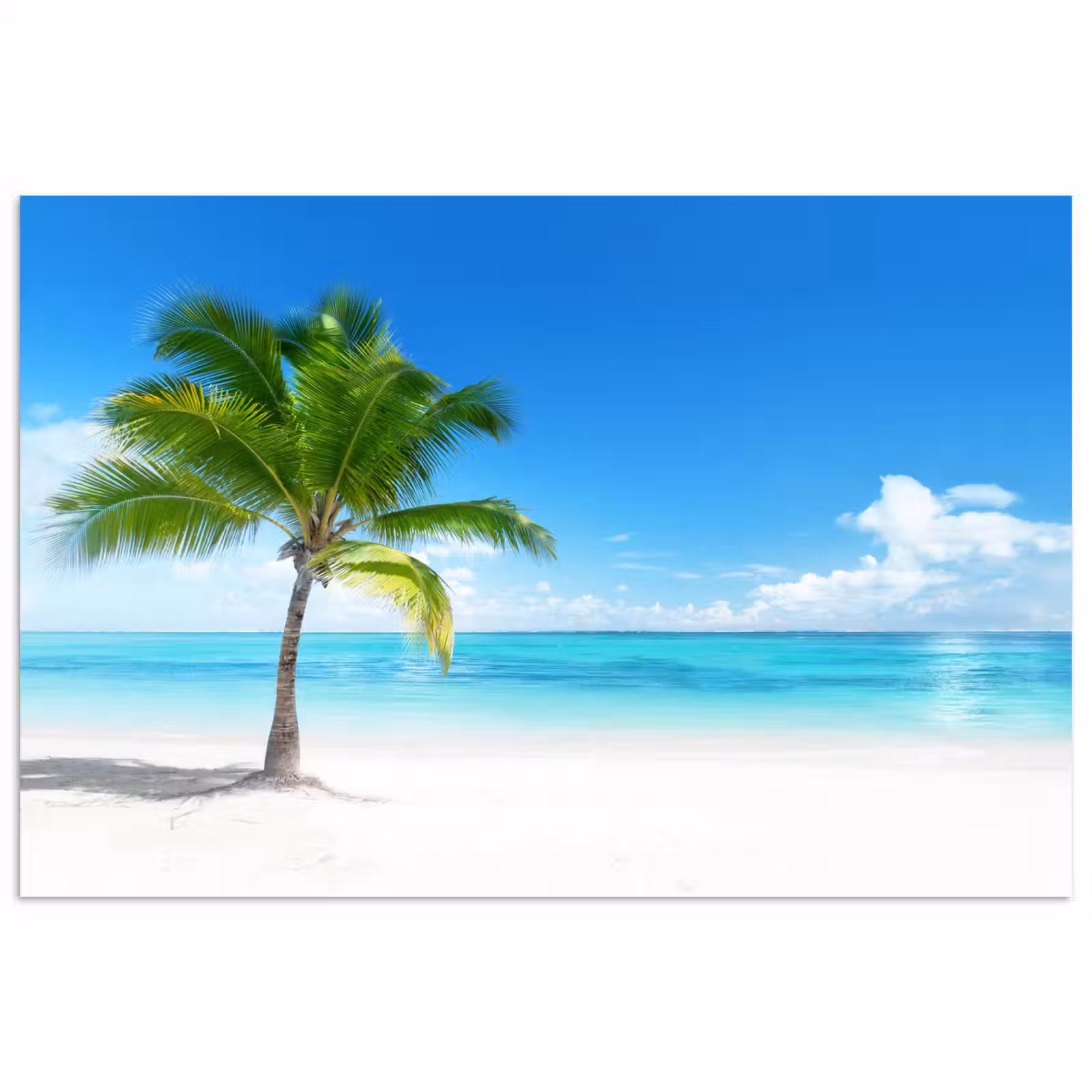 Poster - Palmboom - Strand - Zee - Zomer — 1