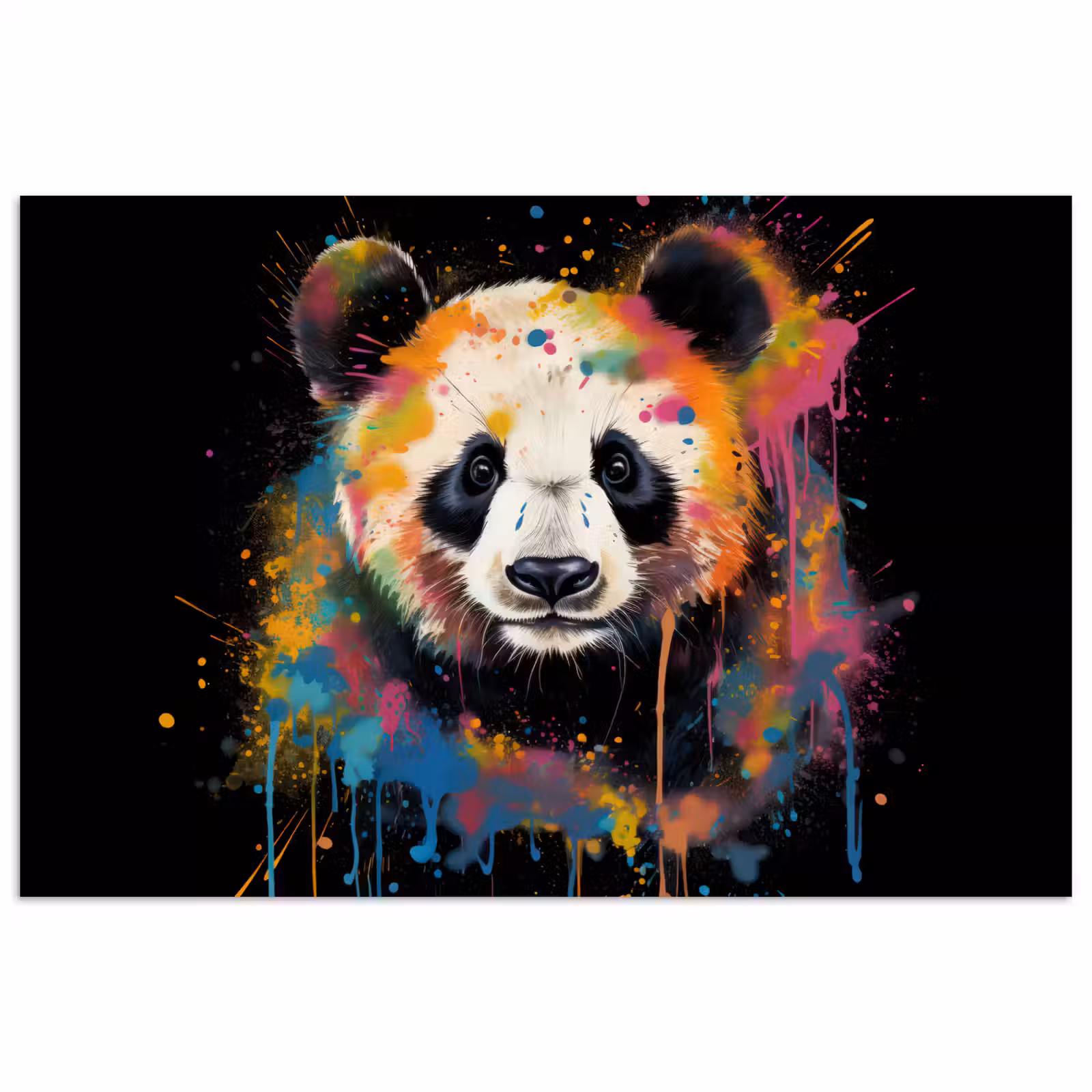Poster - Panda - Graffiti - Dieren - Zwart - Kleuren — 1