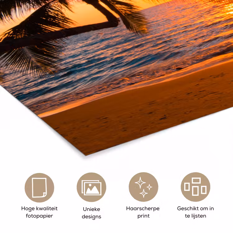 Poster - Palm - Zonsondergang - Horizon - Strand - Zee - Tropisch — 5
