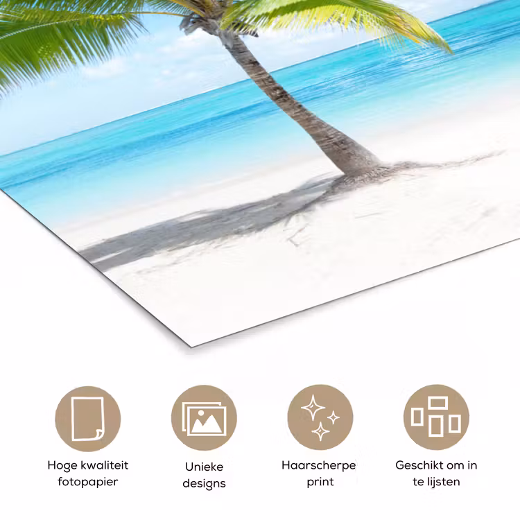 Poster - Palmboom - Strand - Zee - Zomer — 5