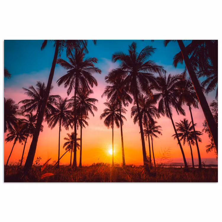 Poster - Palmboom - Zonsondergang - Horizon - Strand - Oranje - Roze — 1