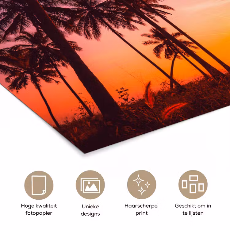 Poster - Palmboom - Zonsondergang - Horizon - Strand - Oranje - Roze — 5