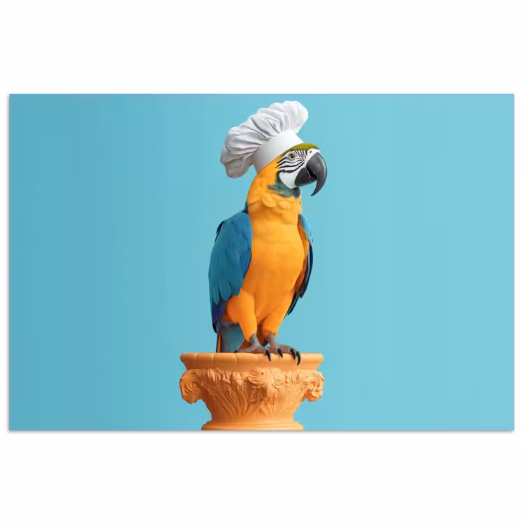 Poster - Papegaai - Koksmuts - Grappig - Vogel — 1