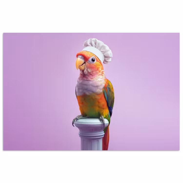 Poster - Papegaai - Koksmuts - Pilaar - Vogel — 1