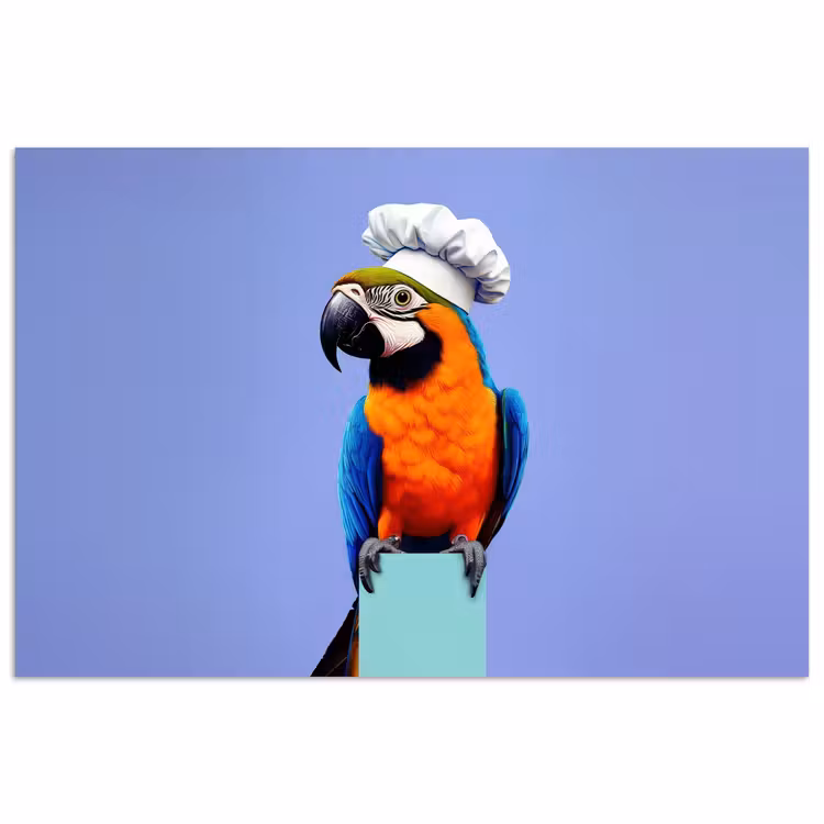 Poster - Papegaai - Koksmuts - Vogel - Leuk — 1