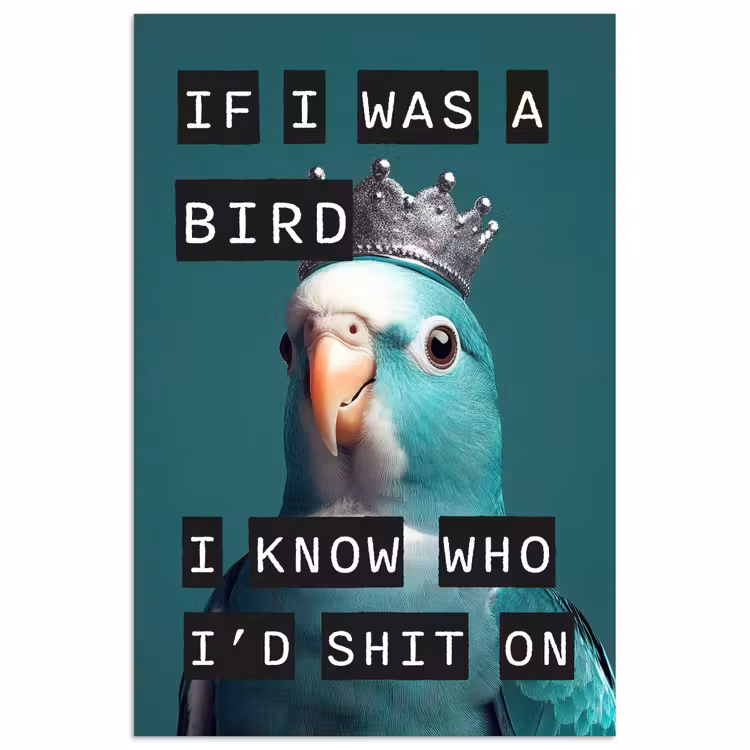 Poster - Parkiet - Turquoise - Quotes - Decoratie — 1
