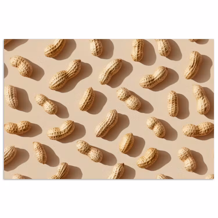 Poster - Pinda's - Patroon - Beige — 1