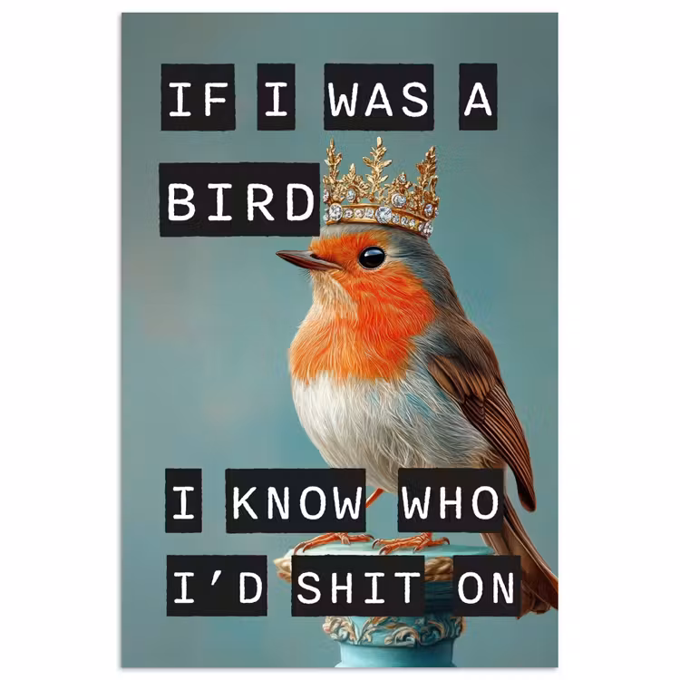 Poster - Roodborstje - Vogel - Blauw - Decoratie — 1