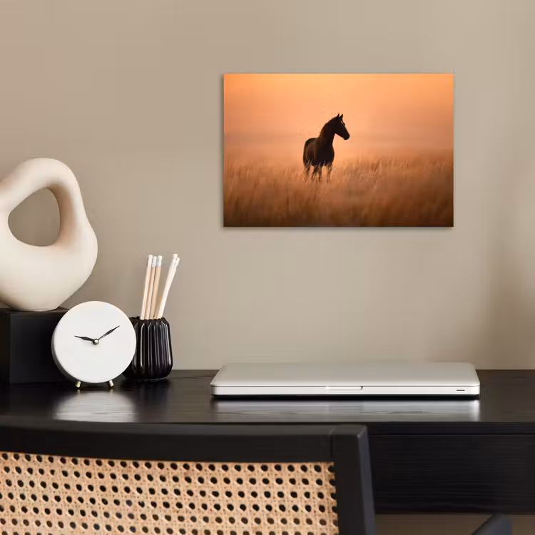Poster - Paard - Grasveld - Zonsondergang — 2