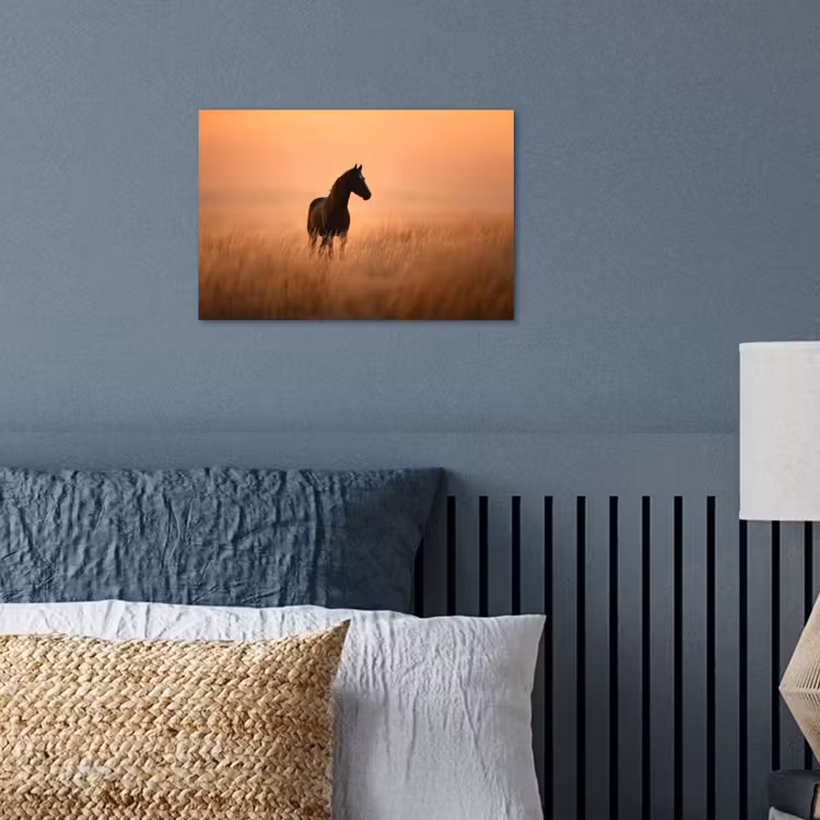 Poster - Paard - Grasveld - Zonsondergang — 3