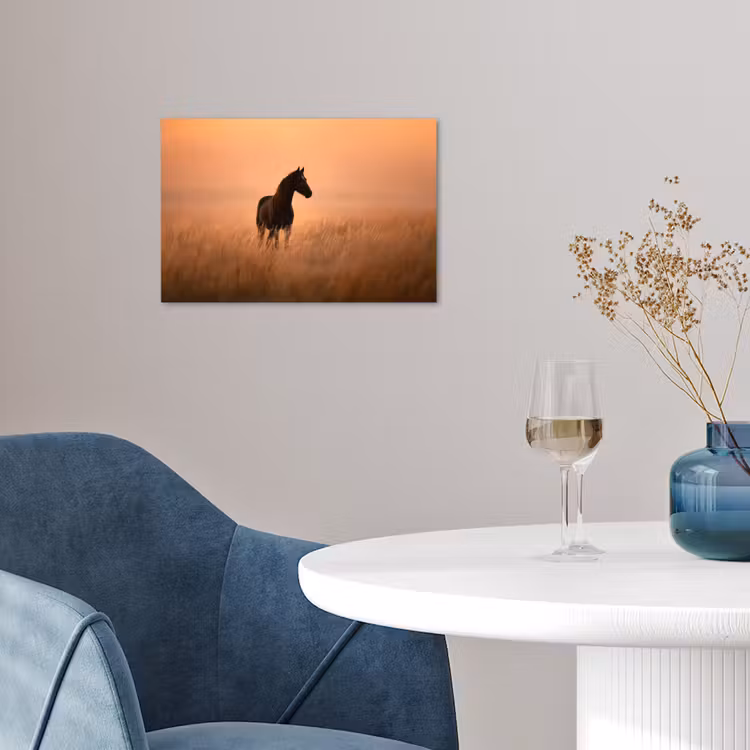 Poster - Paard - Grasveld - Zonsondergang — 4