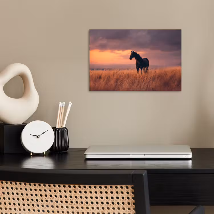 Poster - Paard - Wolken - Open veld — 2