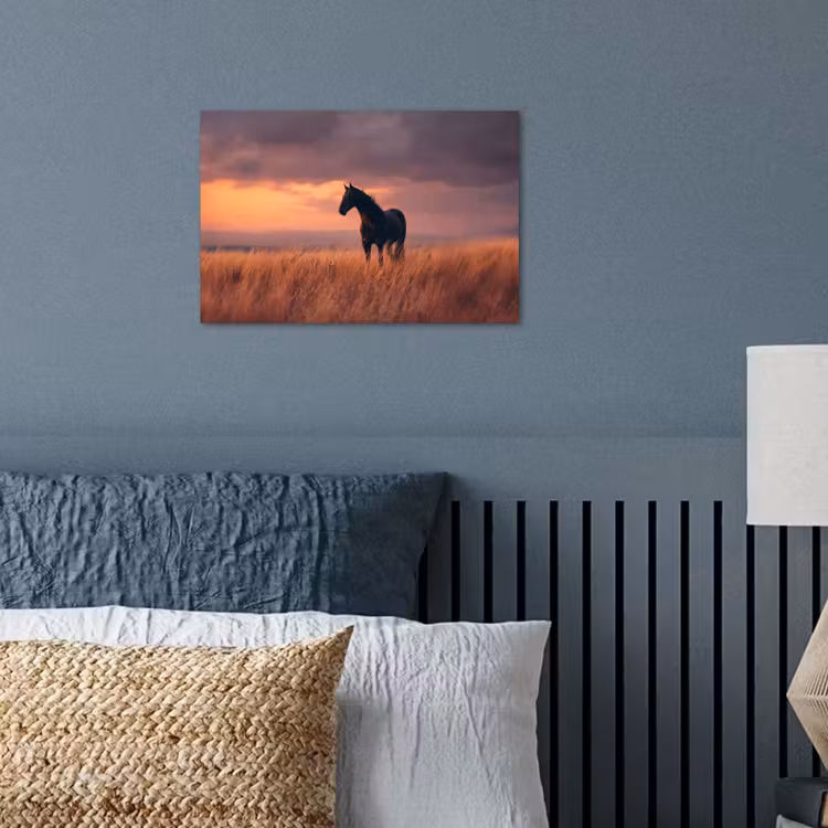 Poster - Paard - Wolken - Open veld — 3