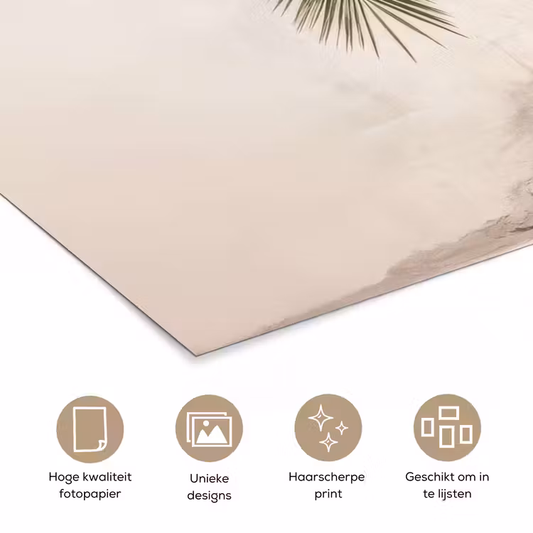 Poster - Palmboom - Schaduw - Trap - Beige — 5