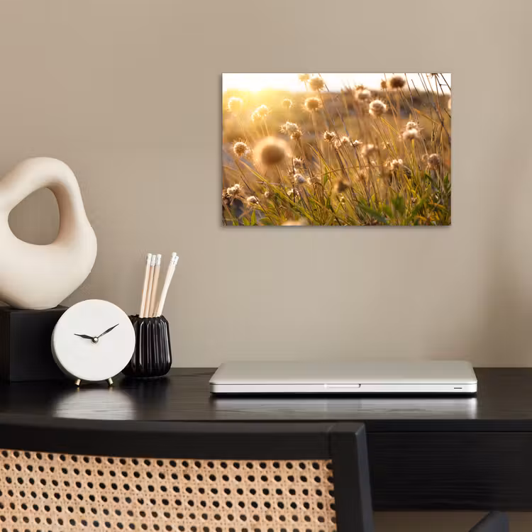 Poster - Planten - Natuur - Bloemen - Zon - Horizon — 2