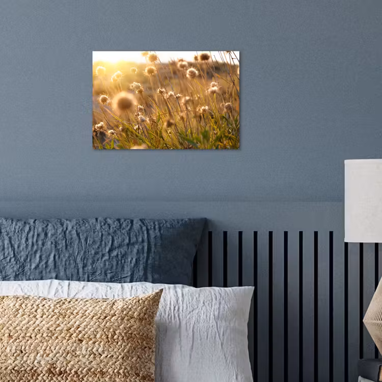 Poster - Planten - Natuur - Bloemen - Zon - Horizon — 3
