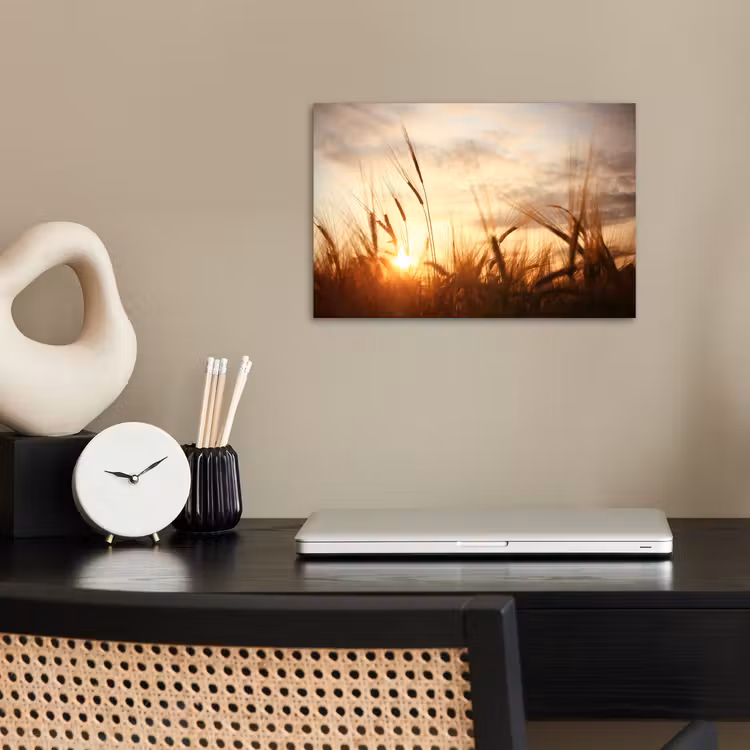 Poster - Riet - Gras - Zonsondergang - Natuur - Horizon — 2