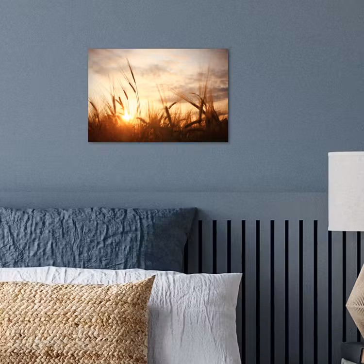Poster - Riet - Gras - Zonsondergang - Natuur - Horizon — 3