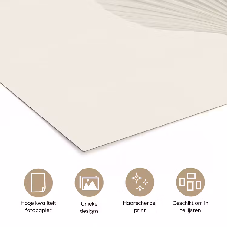 Poster - Schelp - Minimalistisch - Wit — 5
