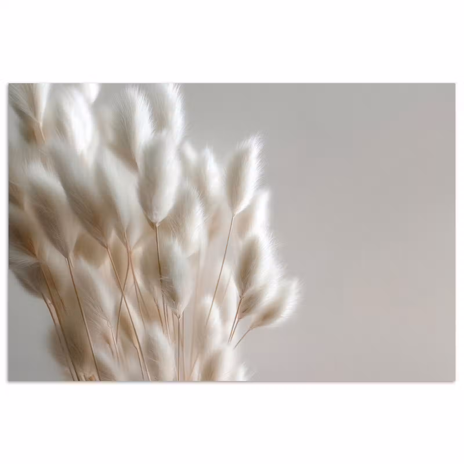 Poster - Pluimen - Beige - Minimalistisch — 1