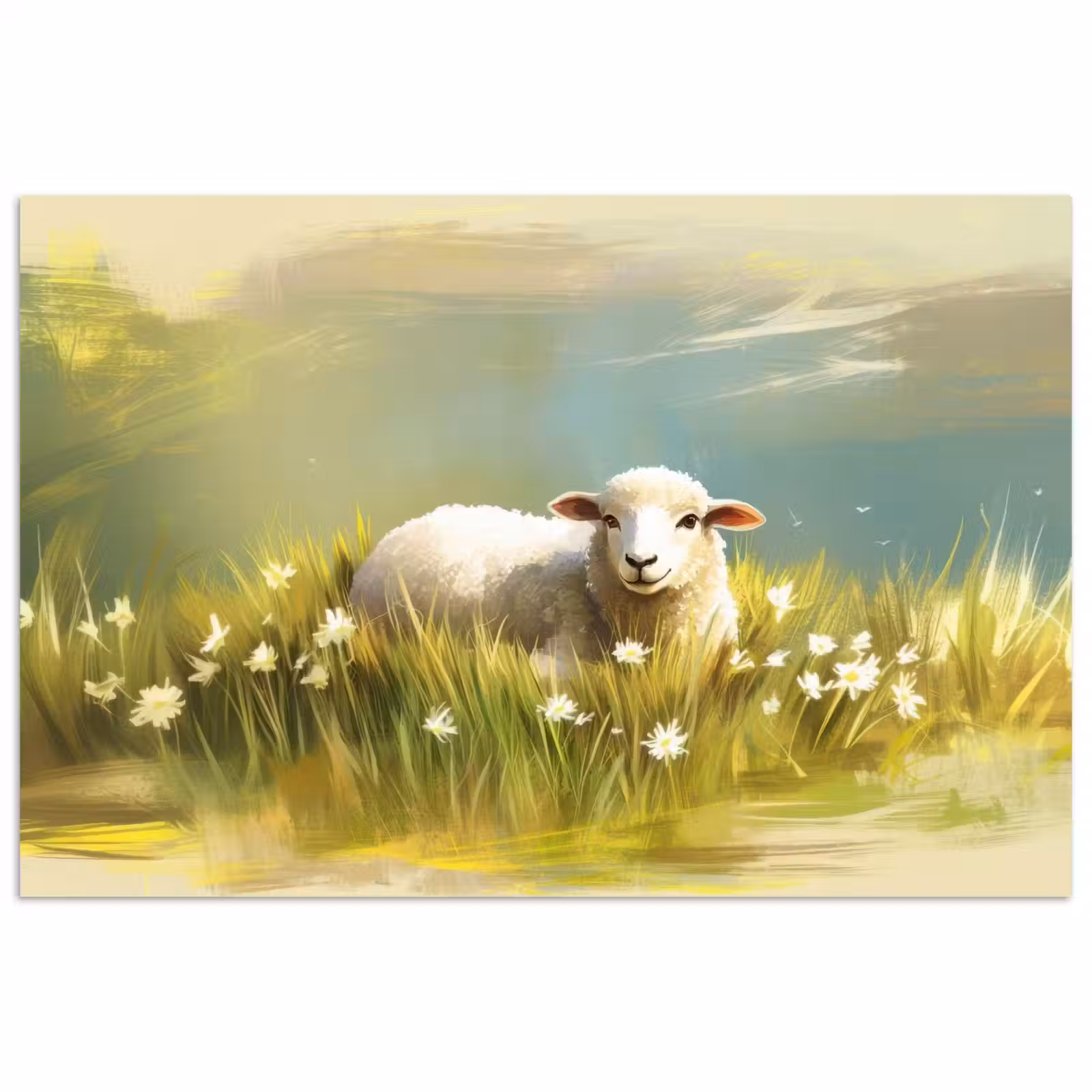 Poster - Schaap - Weide - Groen — 1