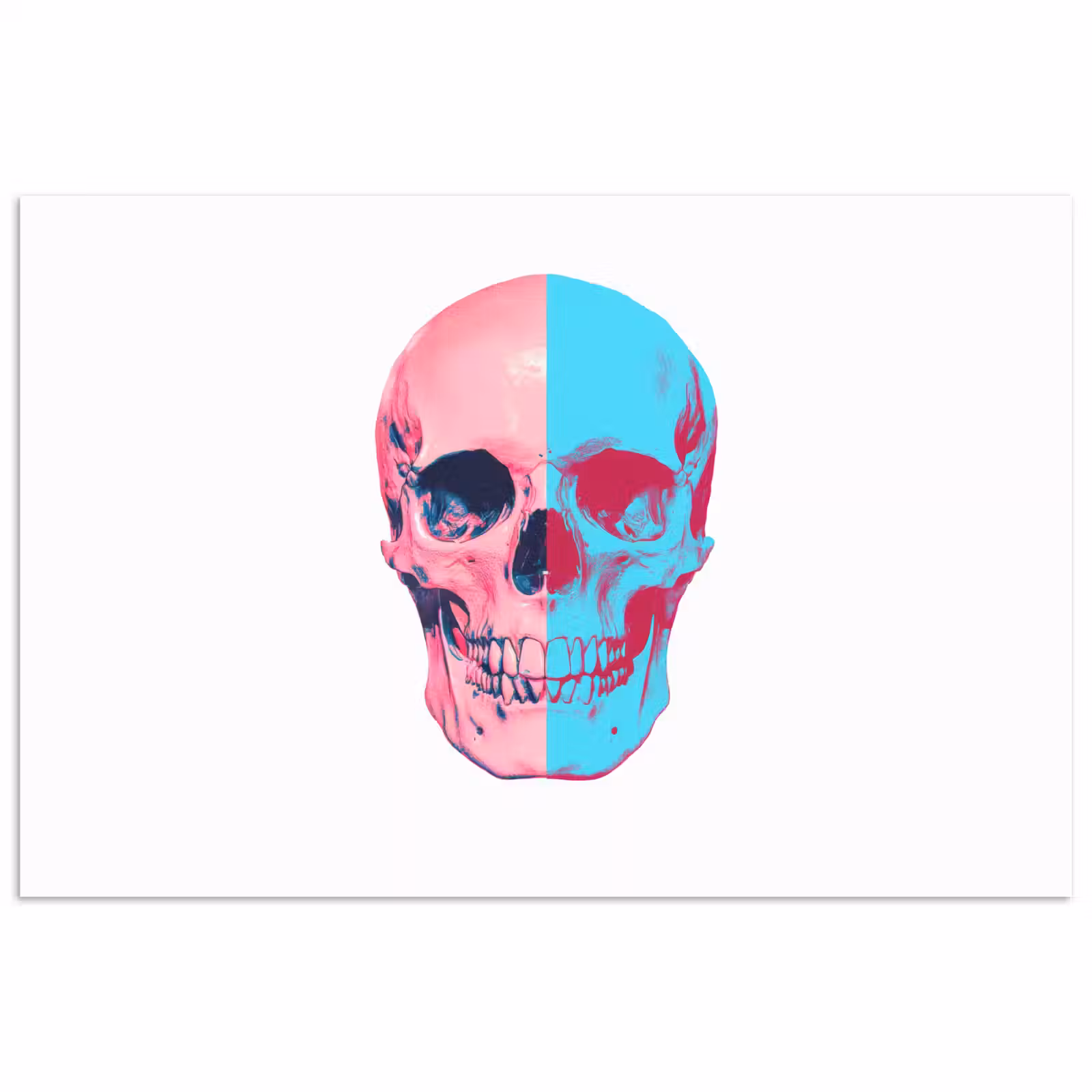 Poster - Schedel - Grafisch - Roze - Verdeeld — 1