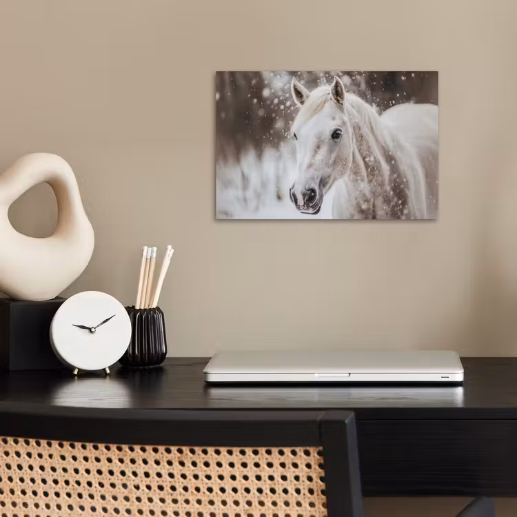 Poster - Paard - Wit - Winter - Natuur - Sneeuw - Dieren — 2