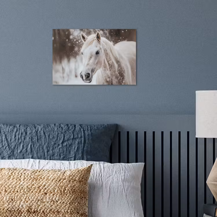 Poster - Paard - Wit - Winter - Natuur - Sneeuw - Dieren — 3