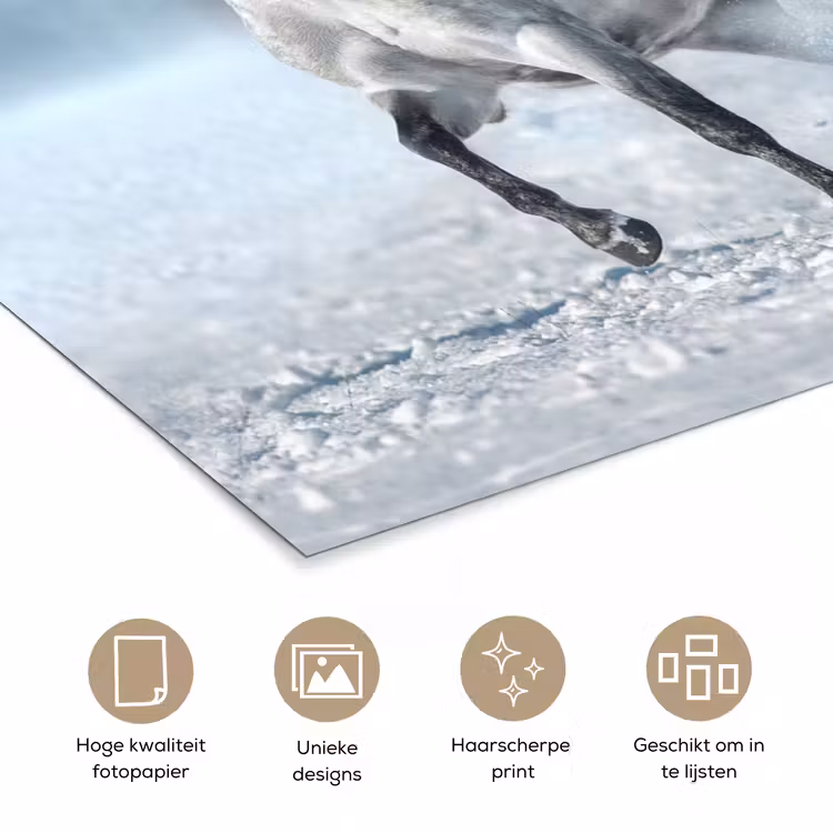 Poster - Paarden - Winter - Dieren - Natuur - Sneeuw — 5