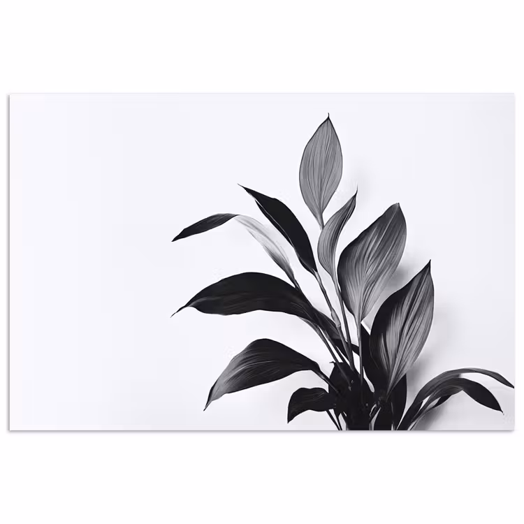 Poster - Plant - Bladeren - Minimalistisch - Zwart — 1