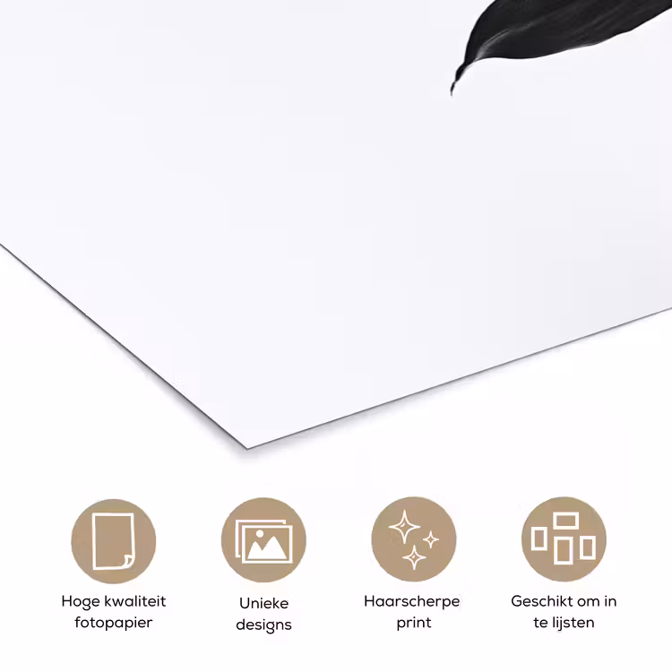 Poster - Plant - Bladeren - Minimalistisch - Zwart — 5