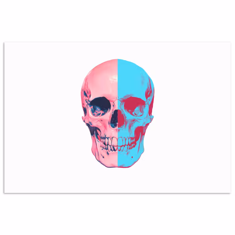 Poster - Schedel - Grafisch - Roze - Verdeeld — 1