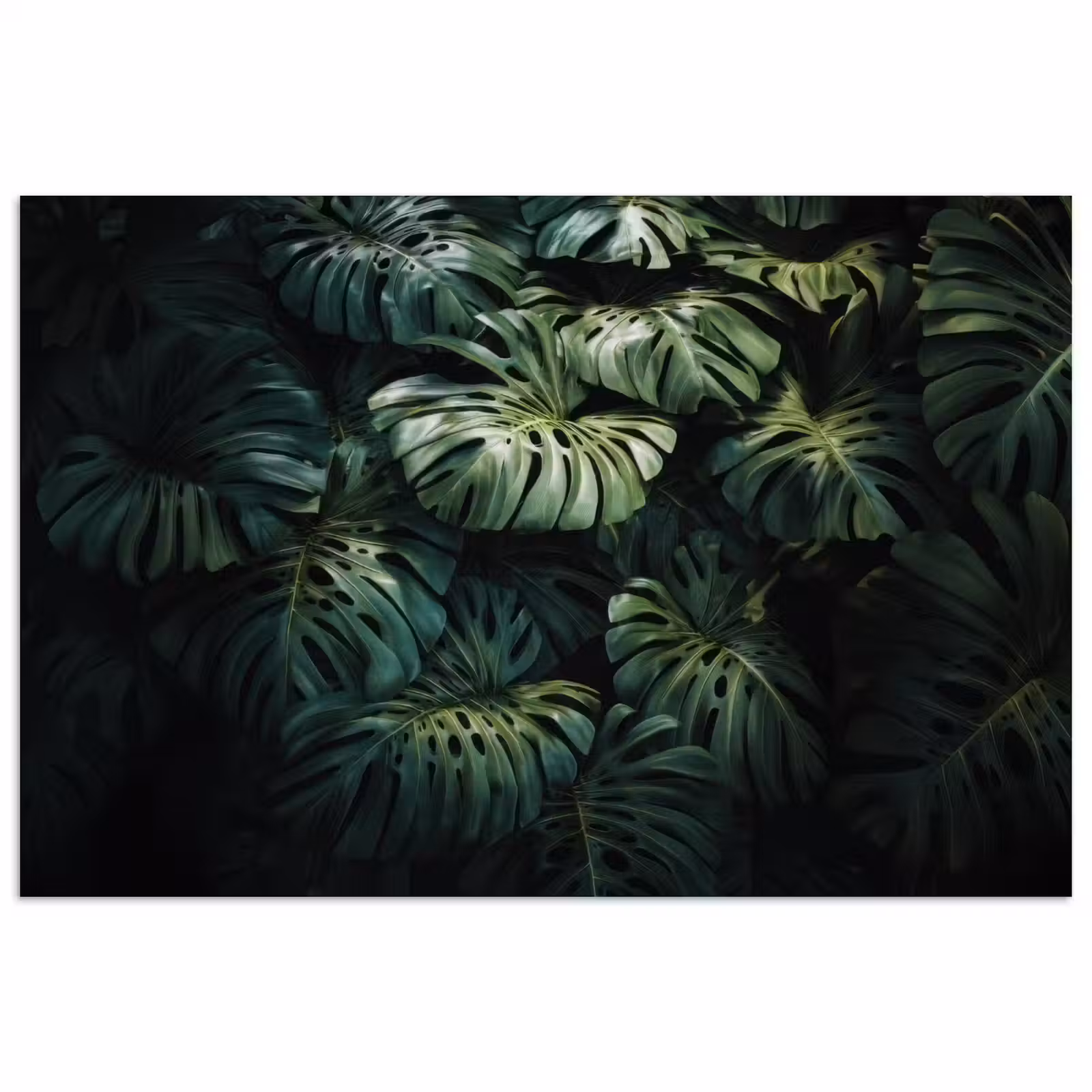 Poster - Plant - Monstera - Lichtinval — 1