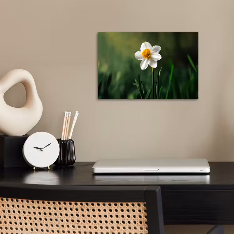 Poster - Narcis - Bloem - Wit - Grassprieten — 2