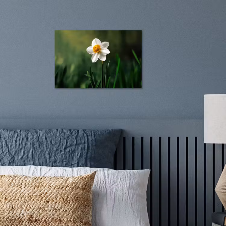 Poster - Narcis - Bloem - Wit - Grassprieten — 3