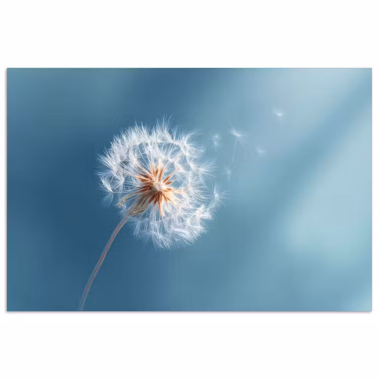 Poster - Paardenbloem - Wind - Blauw — 1