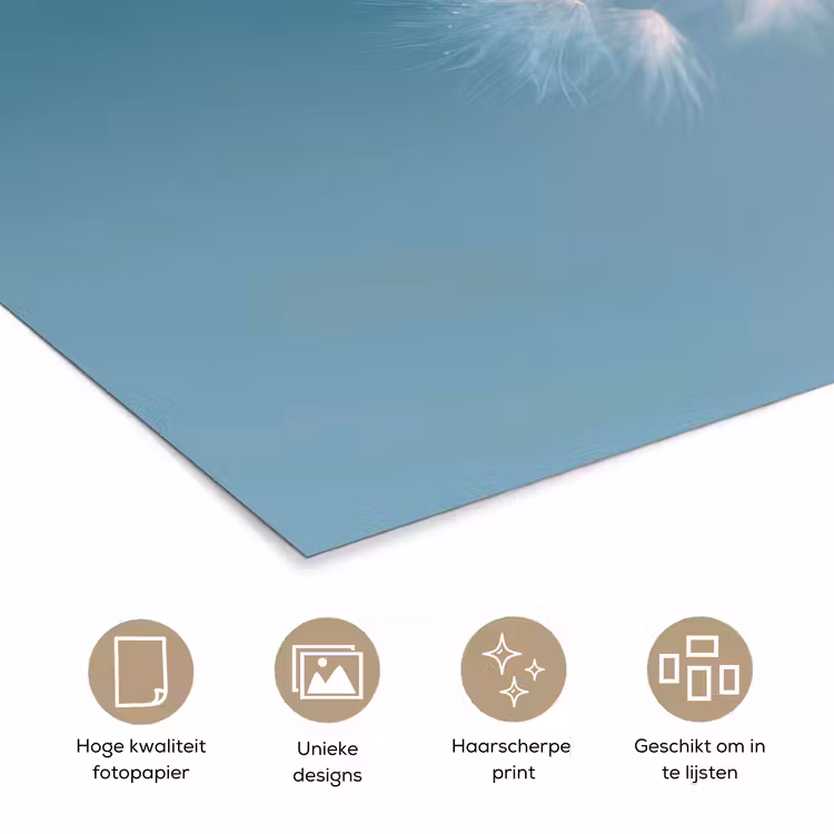 Poster - Paardenbloempluisje - Blauw - Lucht — 5