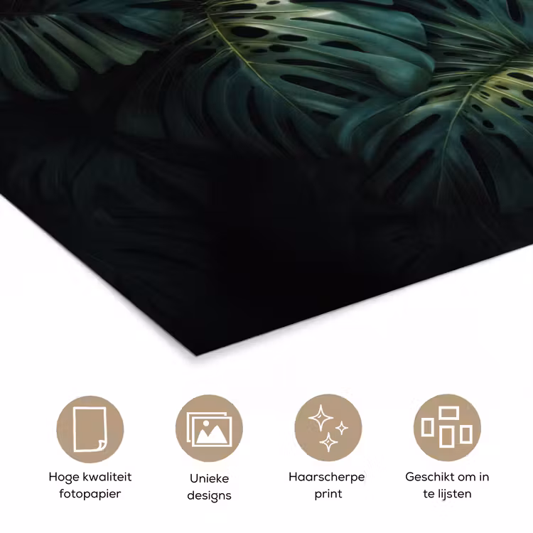 Poster - Plant - Monstera - Lichtinval — 5