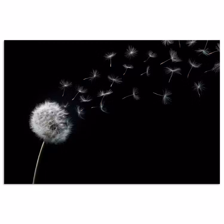 Poster - Paardenbloem - Zwart - Natuur — 1