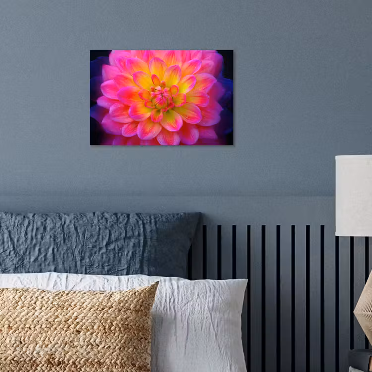 Poster - Roze - Dahlia - Kleurrijk — 3