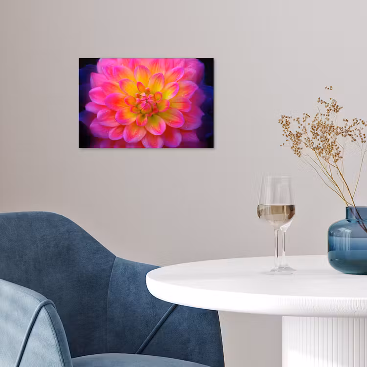 Poster - Roze - Dahlia - Kleurrijk — 4