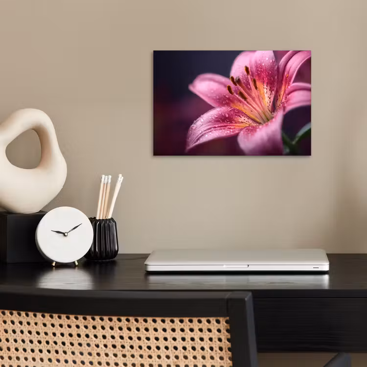 Poster - Roze - lelie - Dauwdruppels — 2