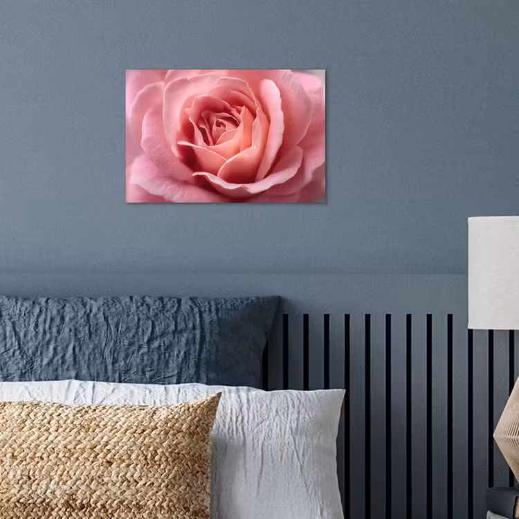 Poster - Roze - Roos - Romantisch — 3
