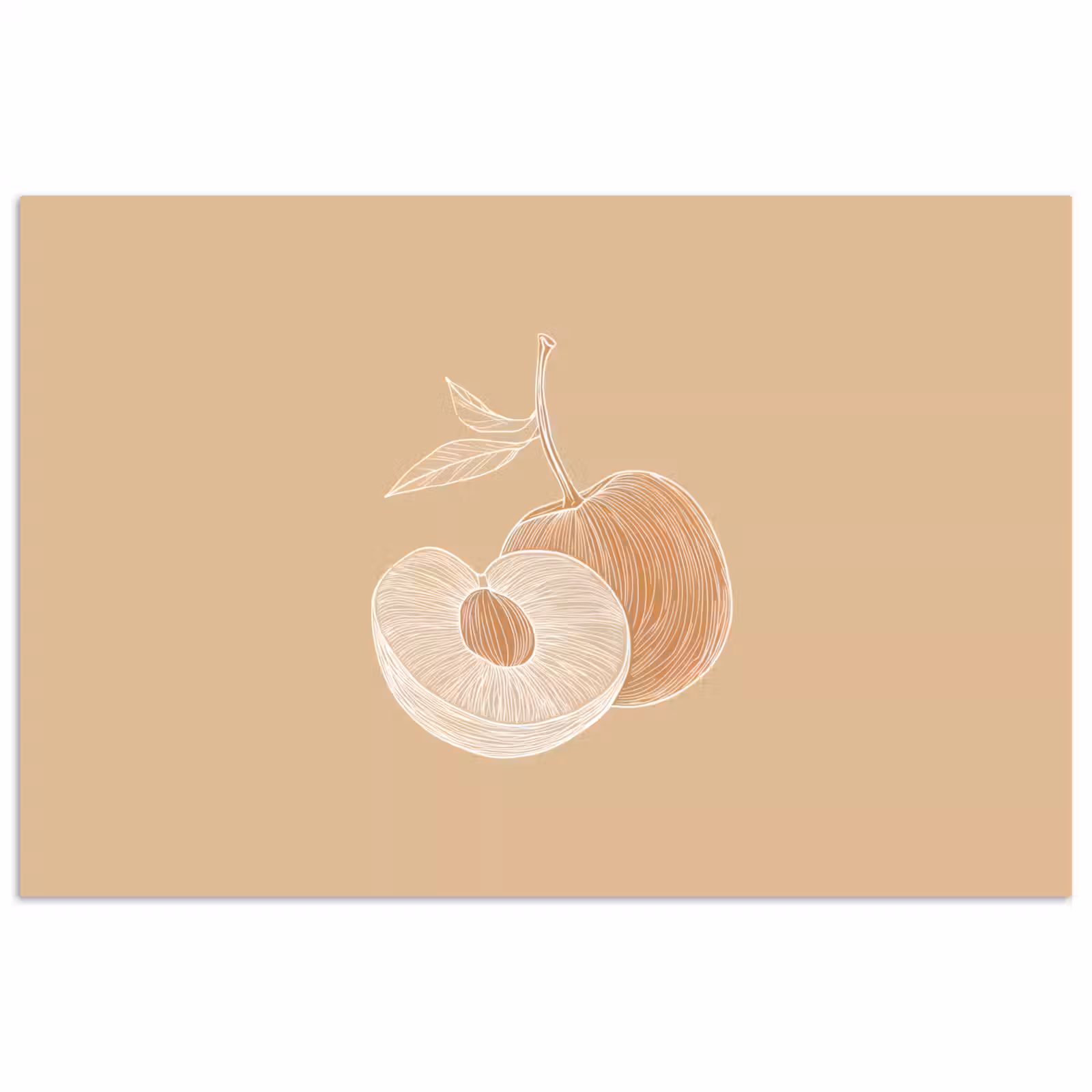 Poster - Perzik - Lijntekening - Pit - Beige — 1