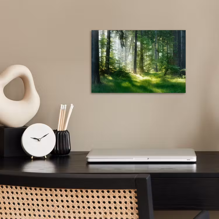 Poster - Natuur - Bomen - Bos - Groen - Zon - Gras - Planten — 2