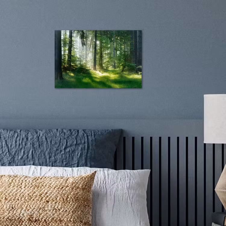 Poster - Natuur - Bomen - Bos - Groen - Zon - Gras - Planten — 3