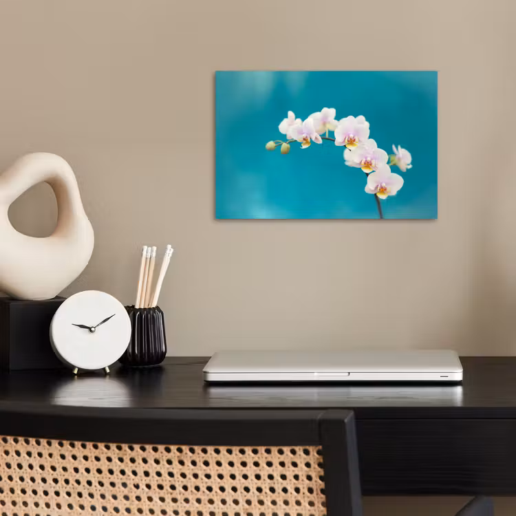 Poster - Orchidee - Bloemen - Plant - Wit - Paars — 2